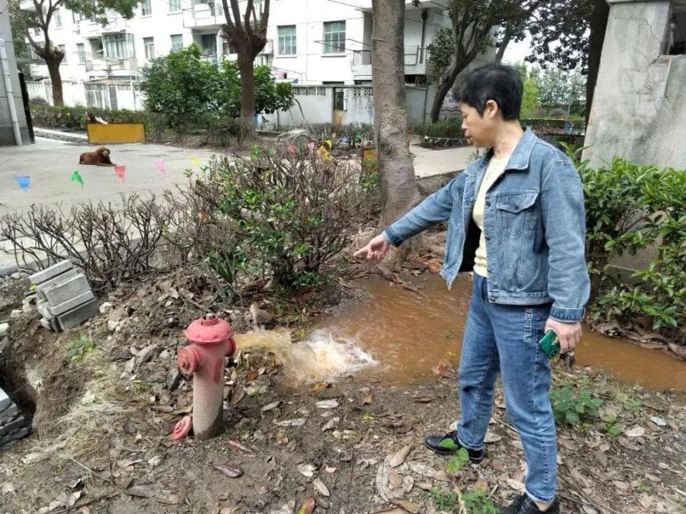 水网改造“通”民意，崇明这个社区议事惠民生