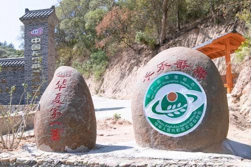 长乐陈振龙：引种红薯厥功至伟