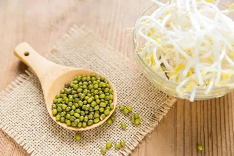 夏天喝绿豆汤，是升血糖还是降血糖？