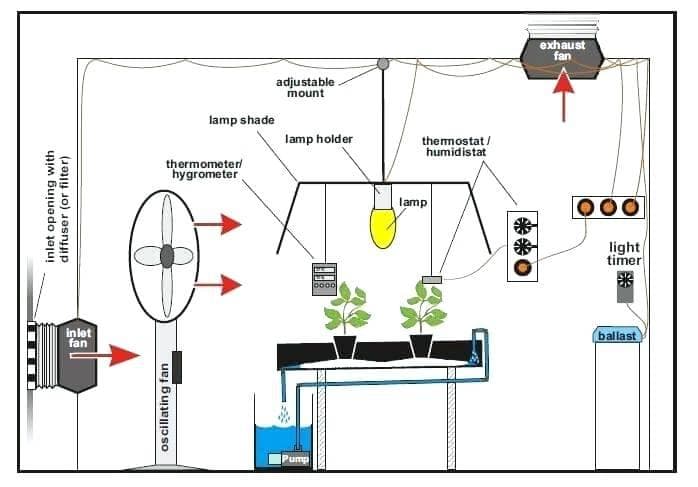 室内植物的空气流通：重要性与改善方法