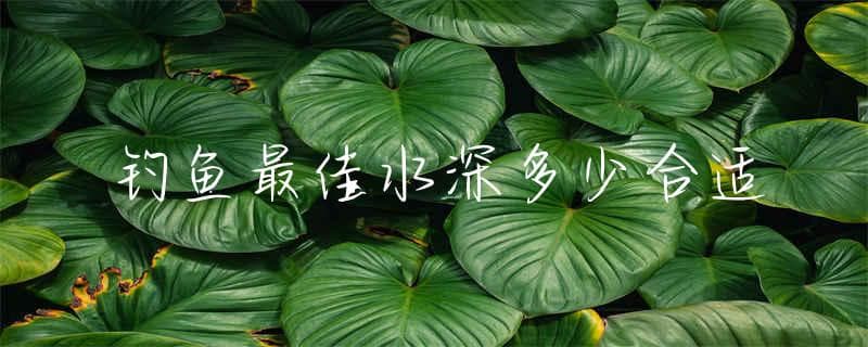 钓鱼最佳水深多少合适