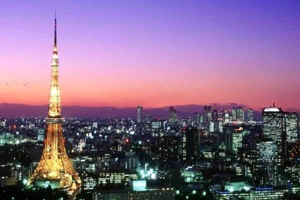 文化传媒公司：选择、价格与服务分析
