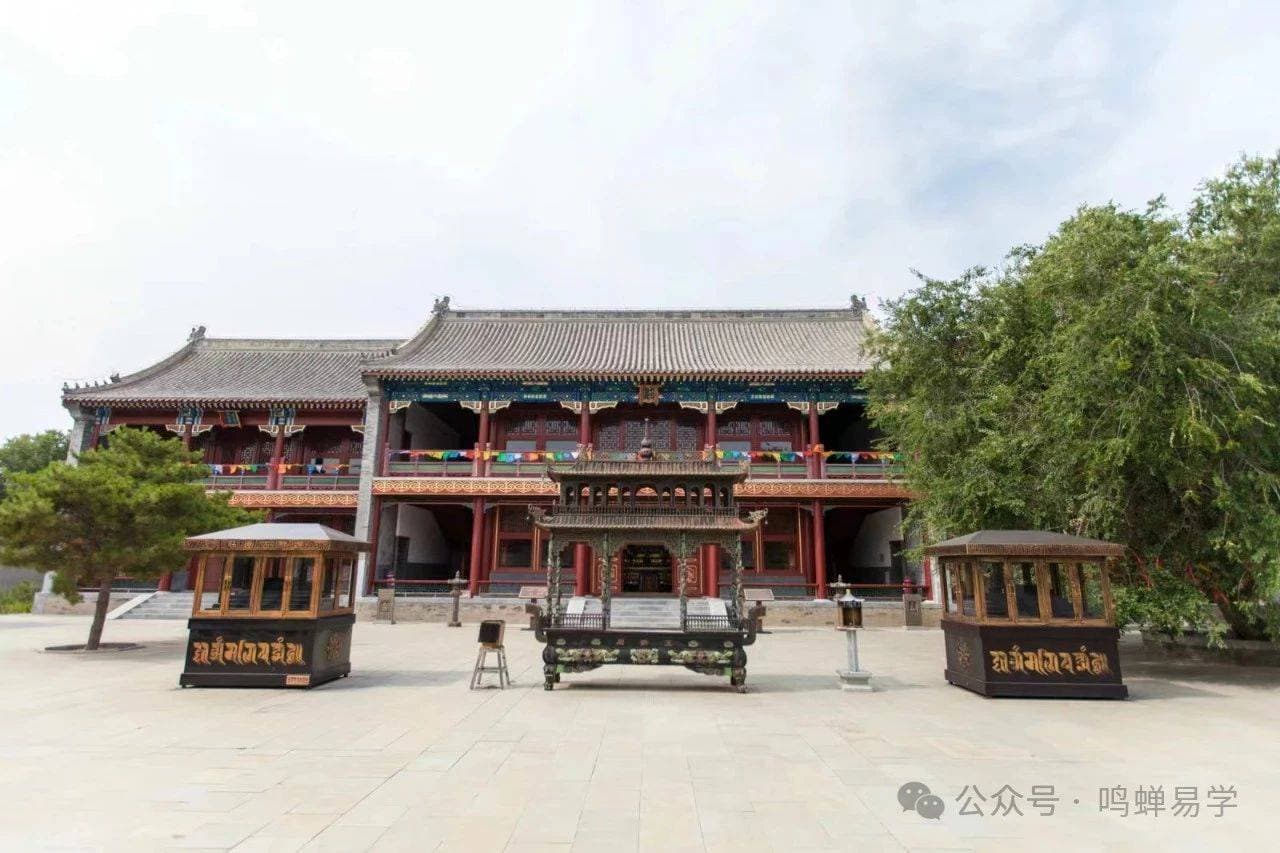 正官格的实际案例分析