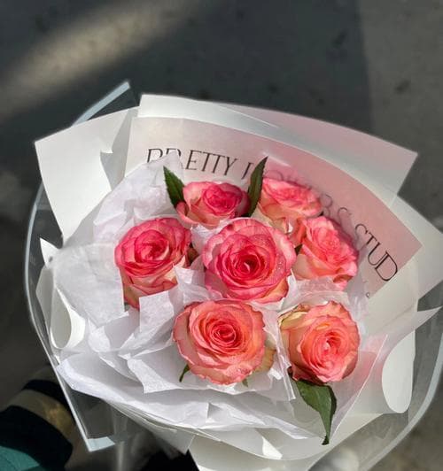爱莎玫瑰花语与寓意解析——情感的多彩表达