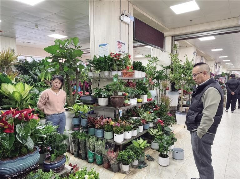 春满金城花市忙
