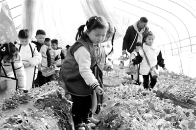 园村互哺，构建跨越围墙的教育共同体