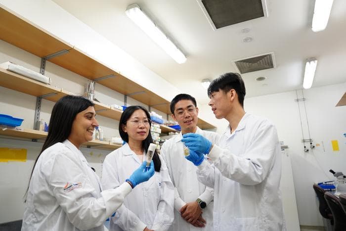 Nature子刊发布科学家解锁神经干细胞再激活的新见解