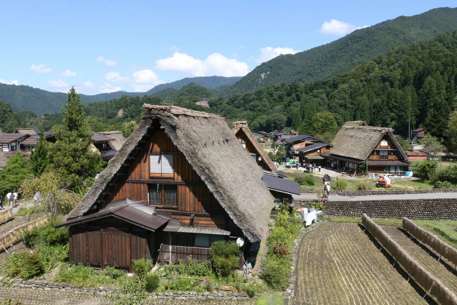 白川乡打卡，白乐面馆必吃