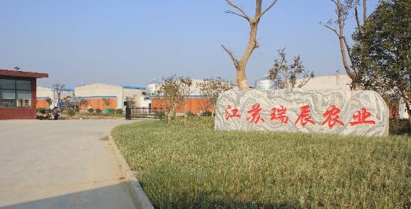 “数智”养鸭新方式：赶鸭子上架！江苏海安探索蛋鸭产业绿色发展新路径