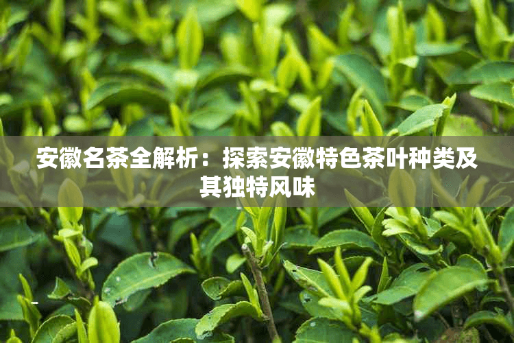 安徽名茶全解析：探索安徽特色茶叶种类及其独特风味