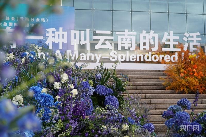 云南：“美丽”经济绽放，生活像花儿一样美