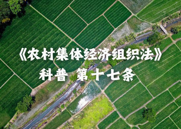 这四种情况，农村集体经济组织成员身份会丧失