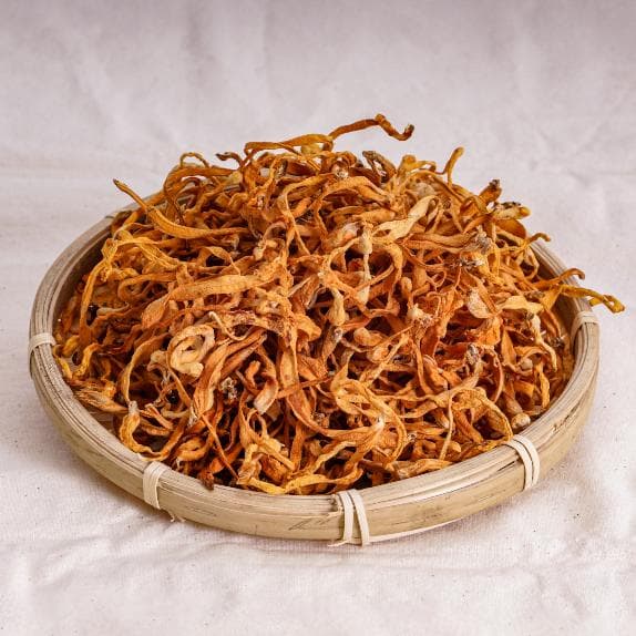虫草花：天然健康宝库的七大功效与食用指南