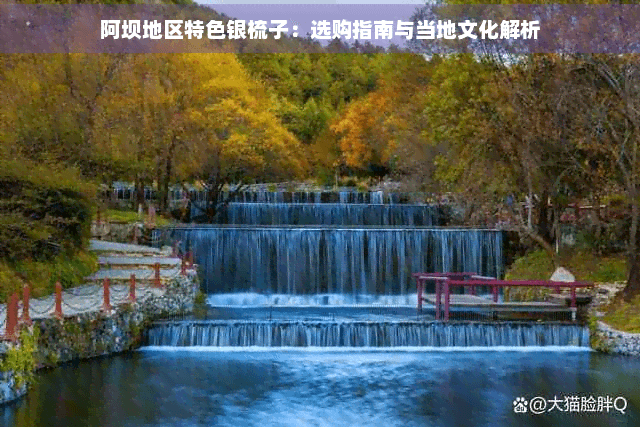 阿坝地区特色银梳子：选购指南与当地文化解析