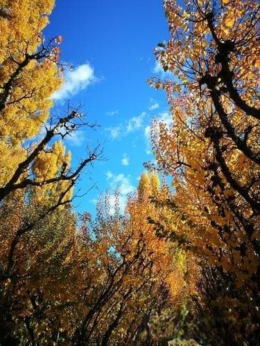楷模的力量：引领社会风尚的榜样力量分析