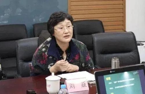 刘焱：要让幼儿玩“真游戏”，更要支持和引导幼儿玩“好游戏”