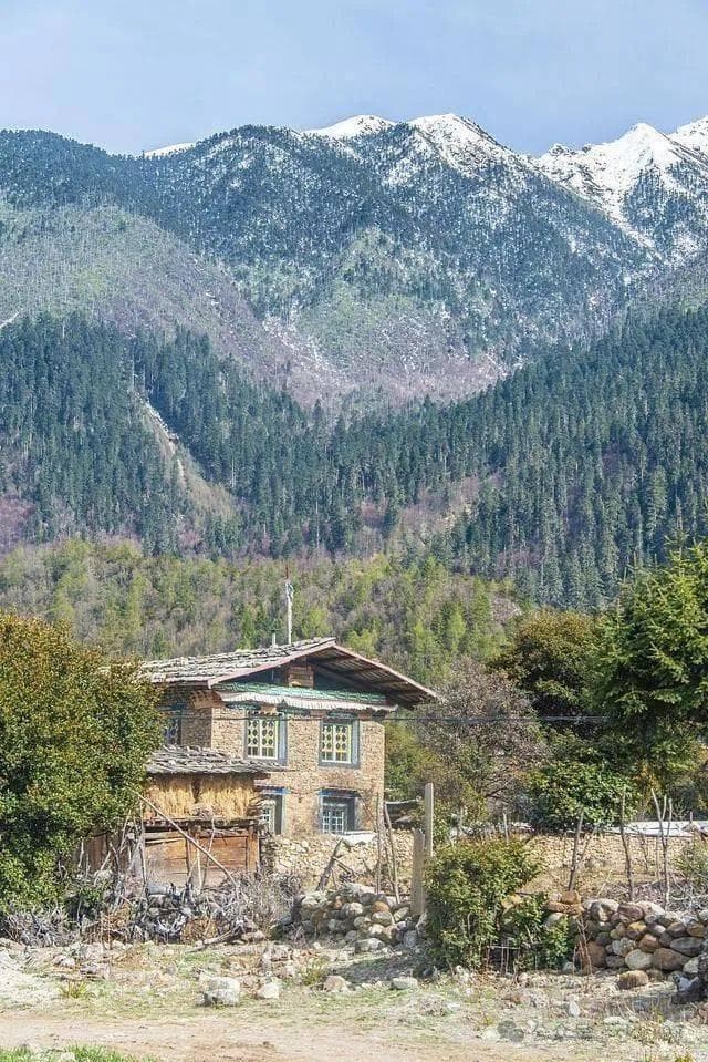 巴松措风景区：西藏的“小瑞士”，雪山环绕的碧绿湖泊
