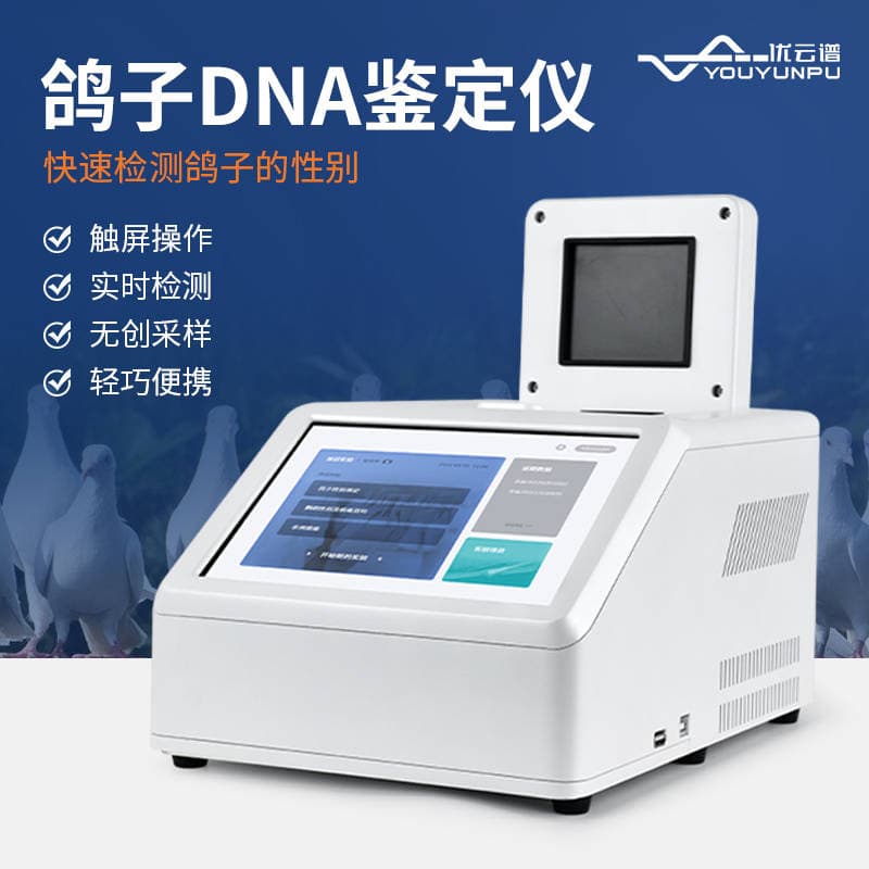 科学鉴定鸽子性别：鸽子DNA鉴定仪的快速与可靠