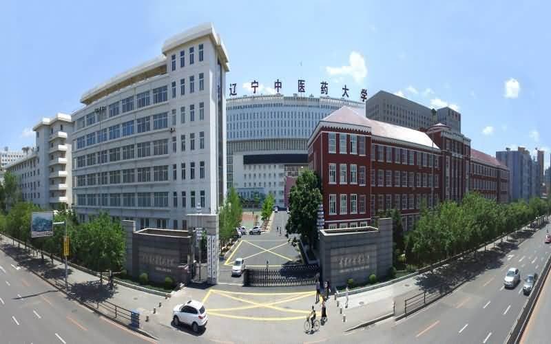 辽宁中医药大学研究生复试指南：笔试面试内容、评分标准全解析
