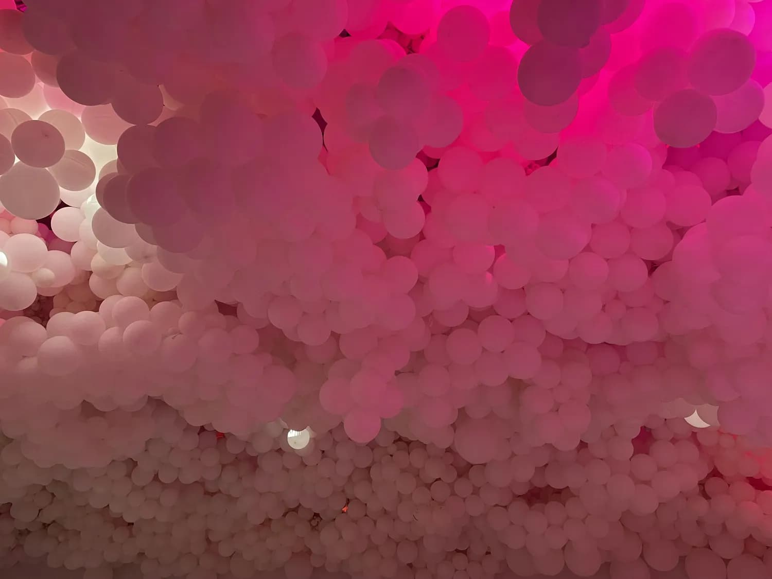 从布置到烹饪，打造七夕专属浪漫晚餐