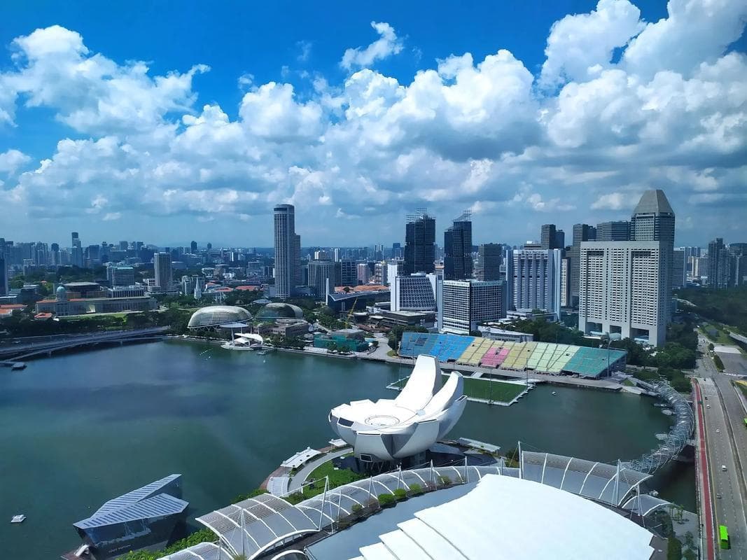 新加坡化工新材料投资前景及风险分析