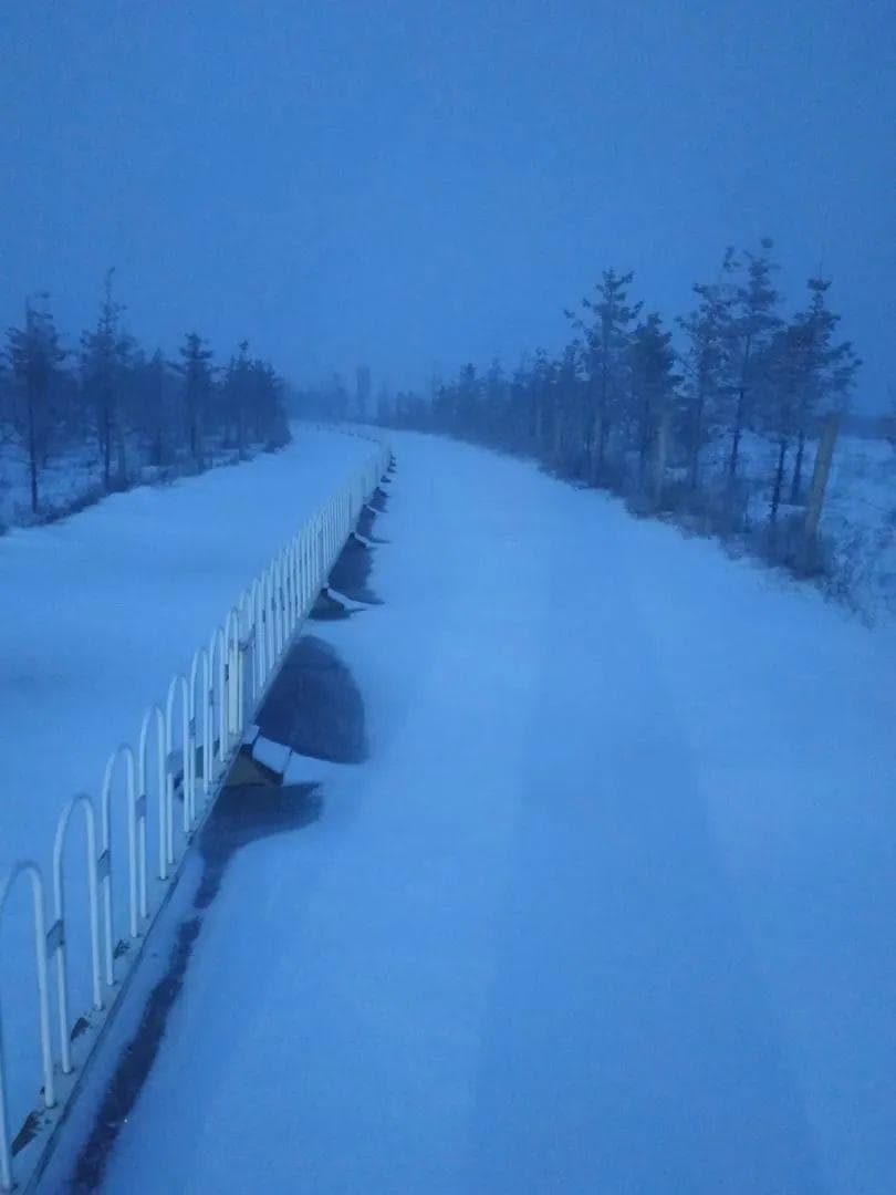 白茫茫一片，北京的雪降在这里了！部分公交停驶，今天仍有雨雪！