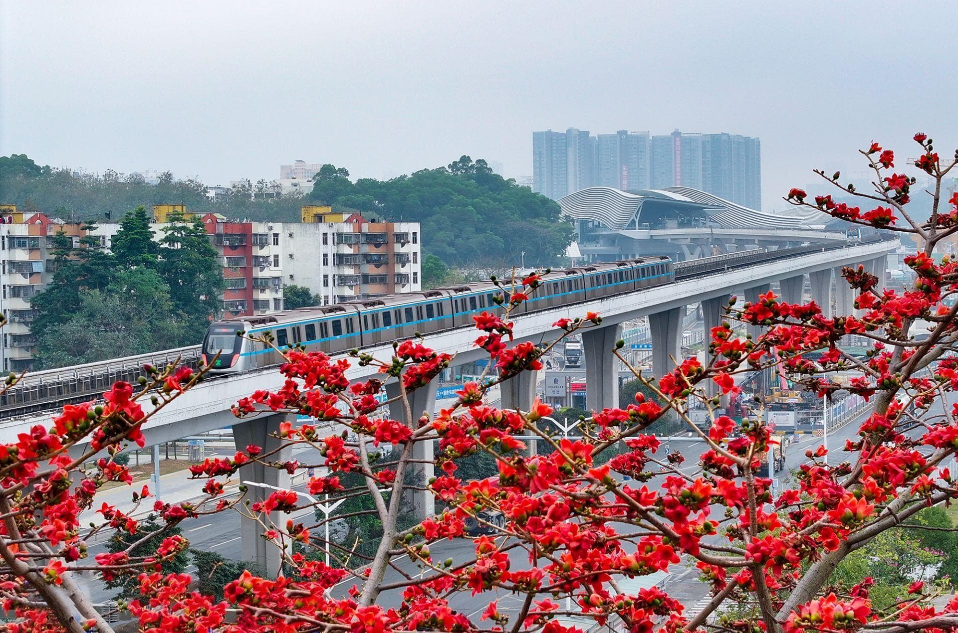最新深圳“公共交通服务指数”：地铁线网织密 公交服务多元 市民体验更好