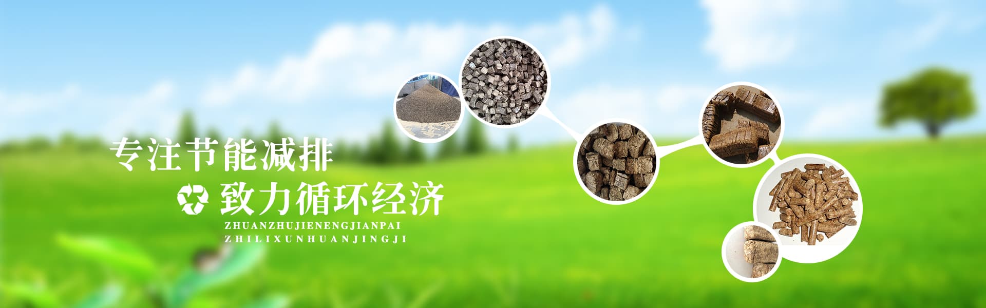 生物质能发电解决方案