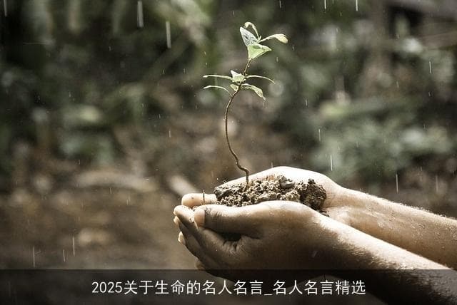 生命的意义：七位名人给当代人的启示