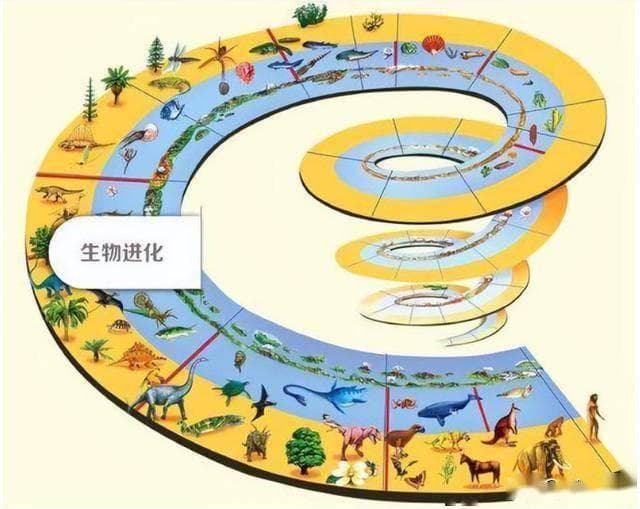 整个生命科学的发展历史