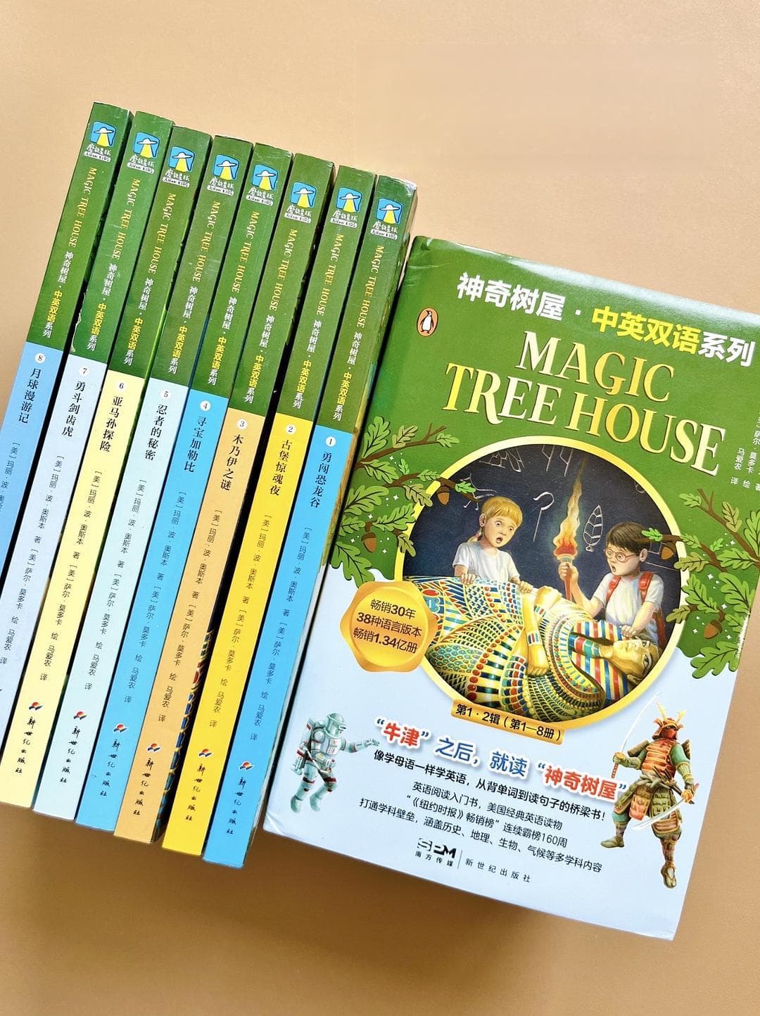 各大榜单的「钉子户」，谁还没入《神奇树屋》