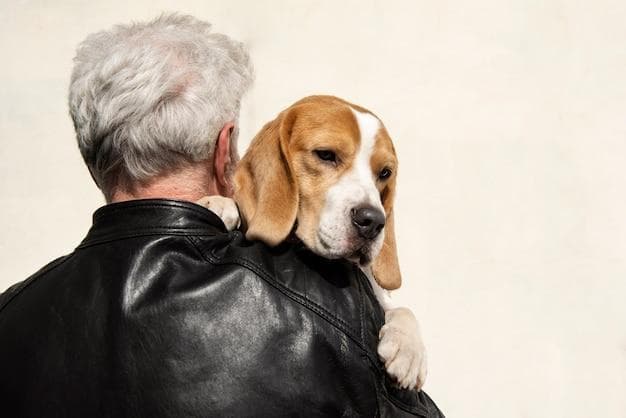老犬怎麼吃？4大指南方針