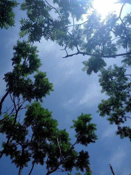 逆袭策略：如何在逆境中实现突破