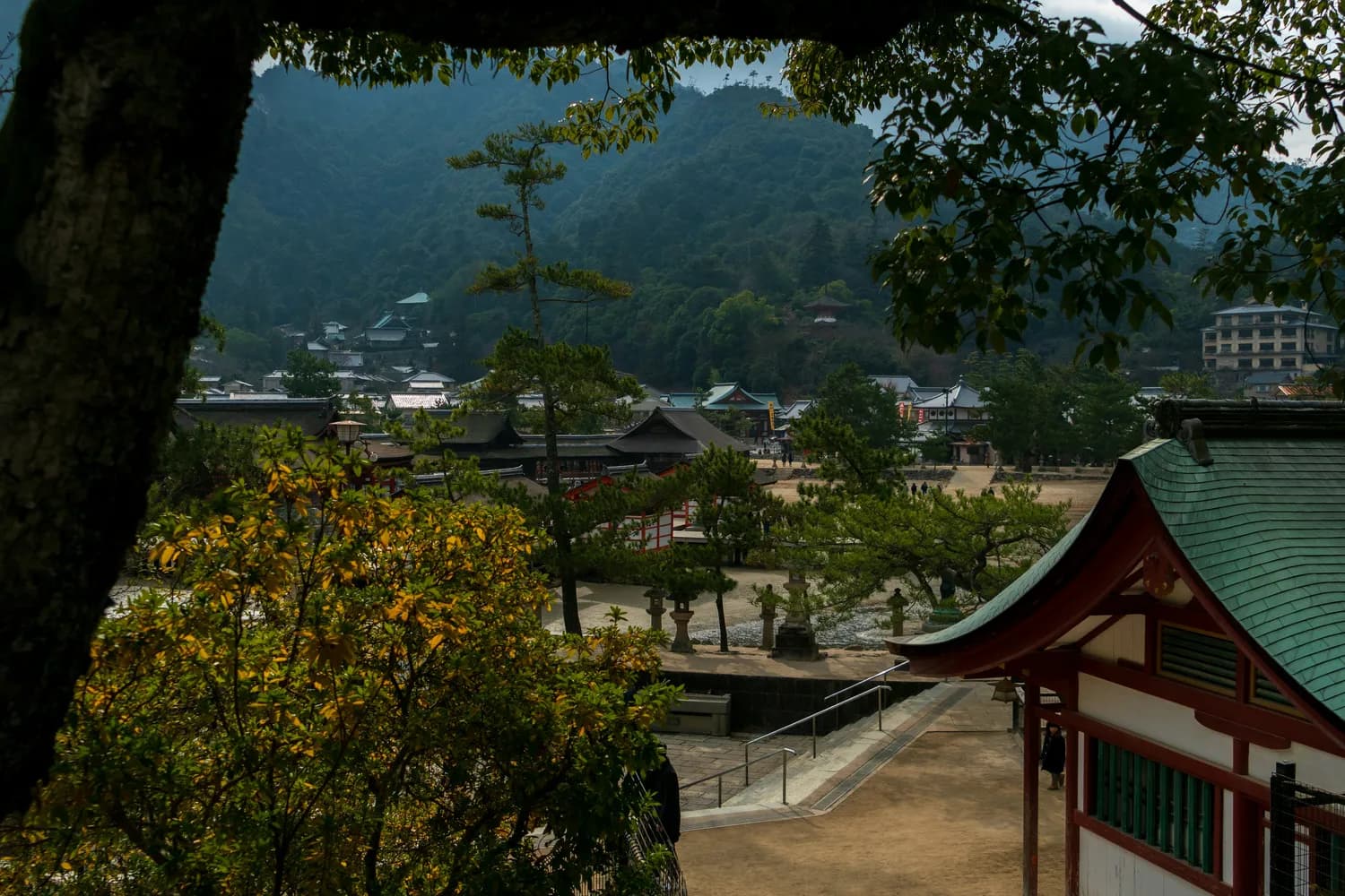 天台山：佛宗道源的文化瑰宝