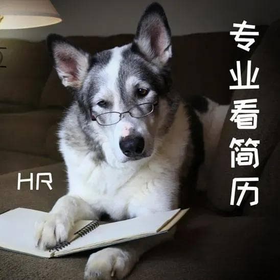 简历重塑：用独特经历和社交媒体打造个人品牌
