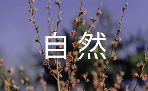 浅谈卢梭与庄子的自然观