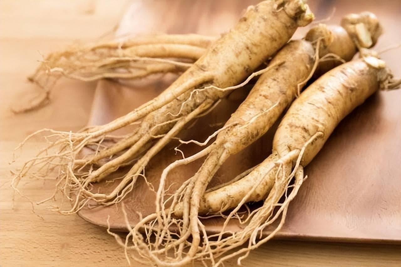 西洋参是补什么的，西洋参的补益作用全解析