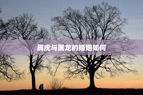 属虎与属龙的婚姻如何