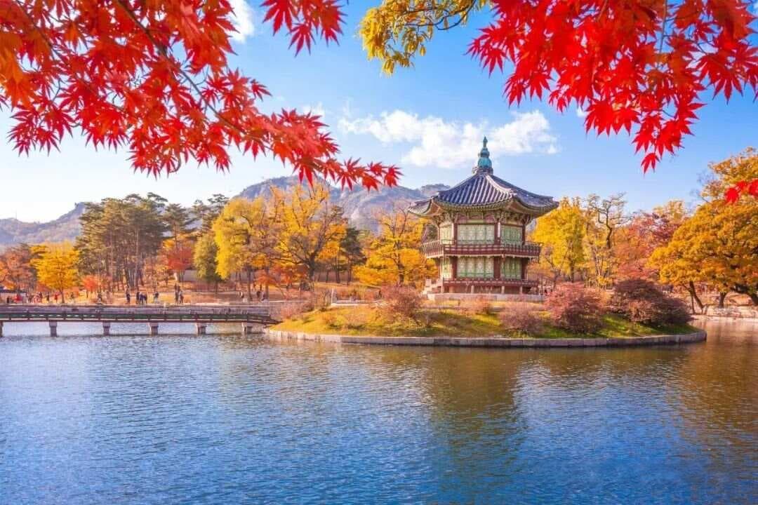 园林、景观、风景园林、园艺，有区别吗？