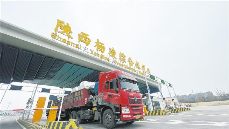 杨凌外贸企业深度融入国际产业大循环