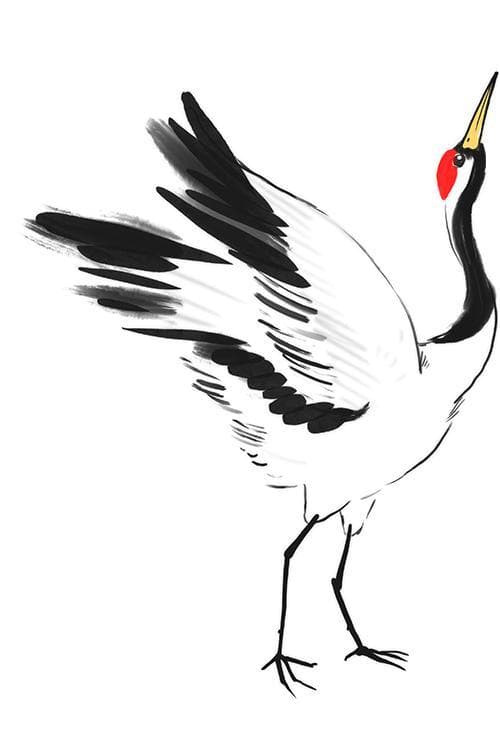 小寒：冷到极致，春意渐生