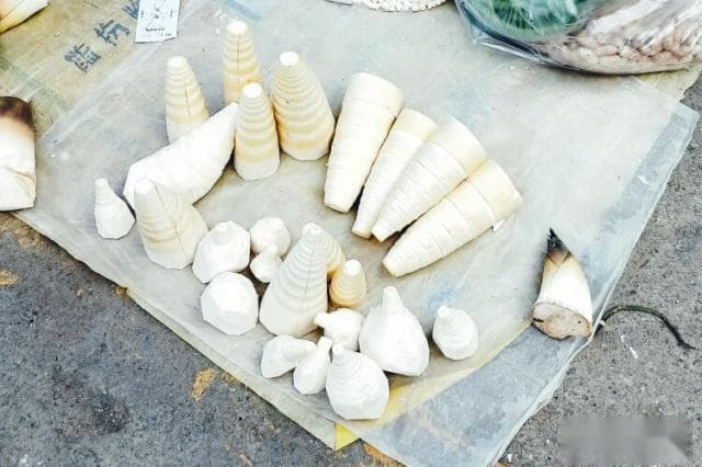 哺乳期能吃酸笋吗？这些饮食禁忌需谨记