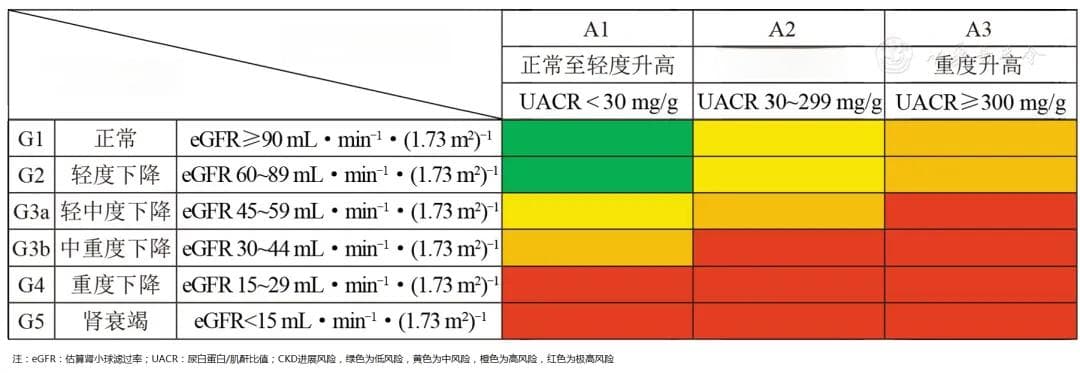 中国糖尿病合并慢性肾脏病临床管理共识（2024 版）