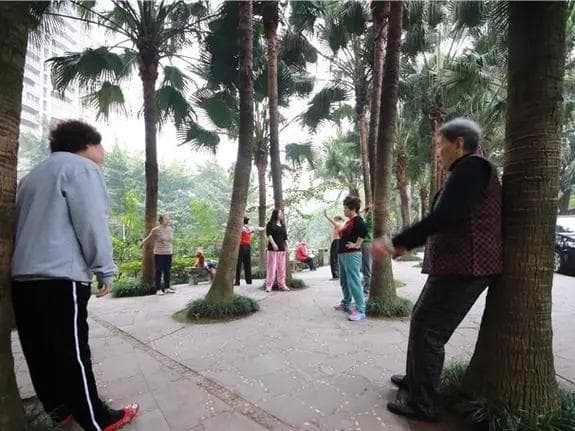 撞树养生对身体好不好？用身体撞树背部撞墙的注意事项