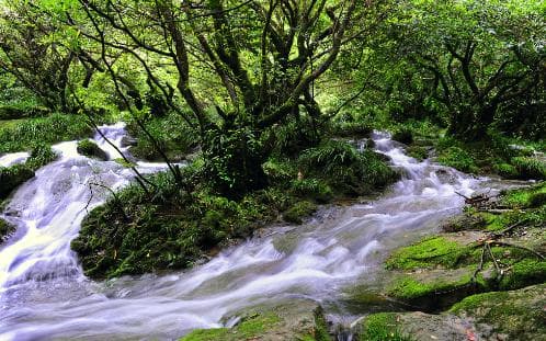 贵州荔波旅游景点大全，荔波有哪些旅游景点