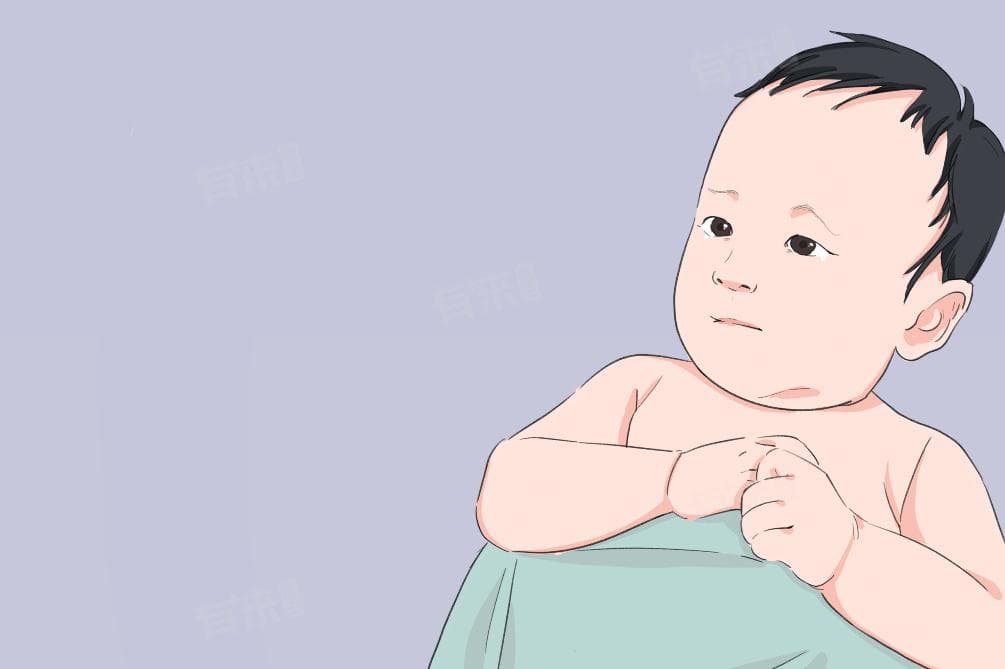 八个月宝宝最佳食谱