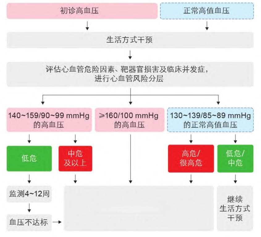 守护健康，从预防高血压开始——健康生活方式指南