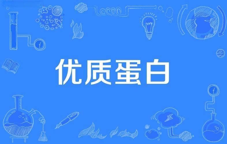 优质蛋白质，主要来源于哪些食物？