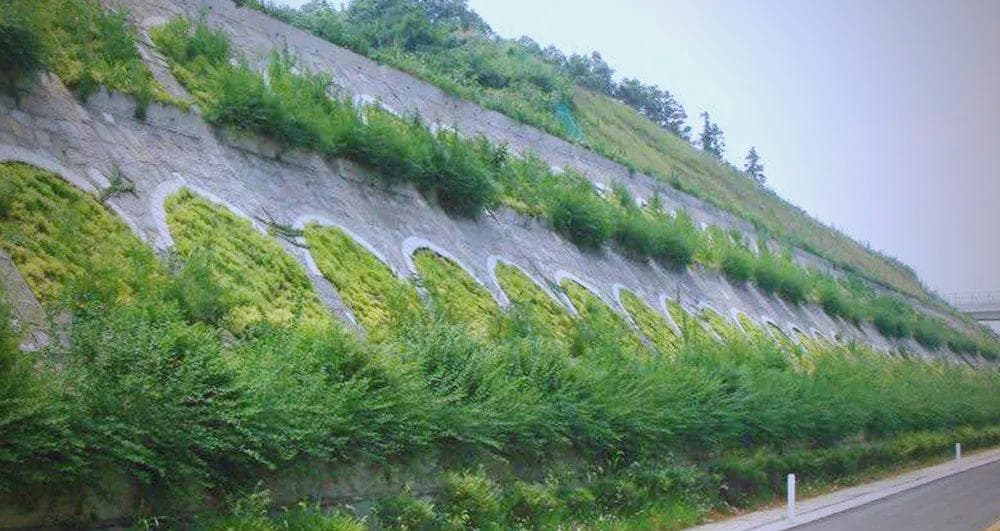 公路高边坡的稳定性问题与防治策略探讨