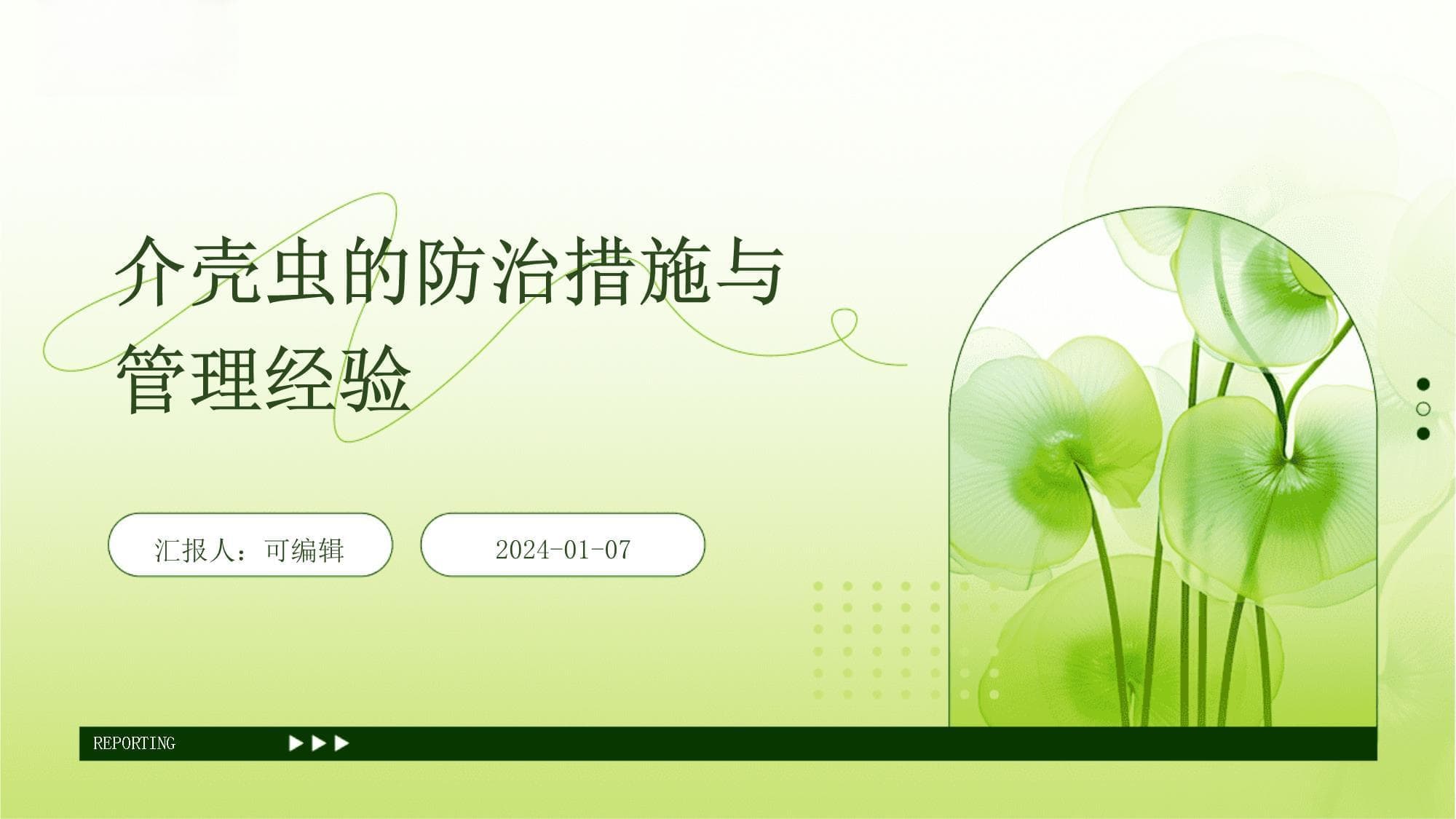介壳虫的防治措施与管理经验
